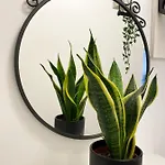 Апартаменты Stylish View * Bellela * Корчула
