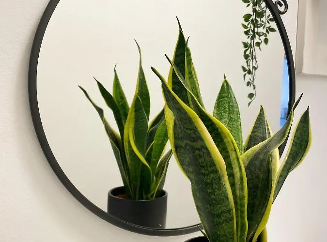 アパート Stylish View * Bellela * コルチュラ