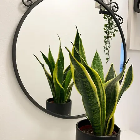 Appartement Stylish View * Bellela * Korčula